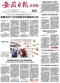 安徽日报·农村版